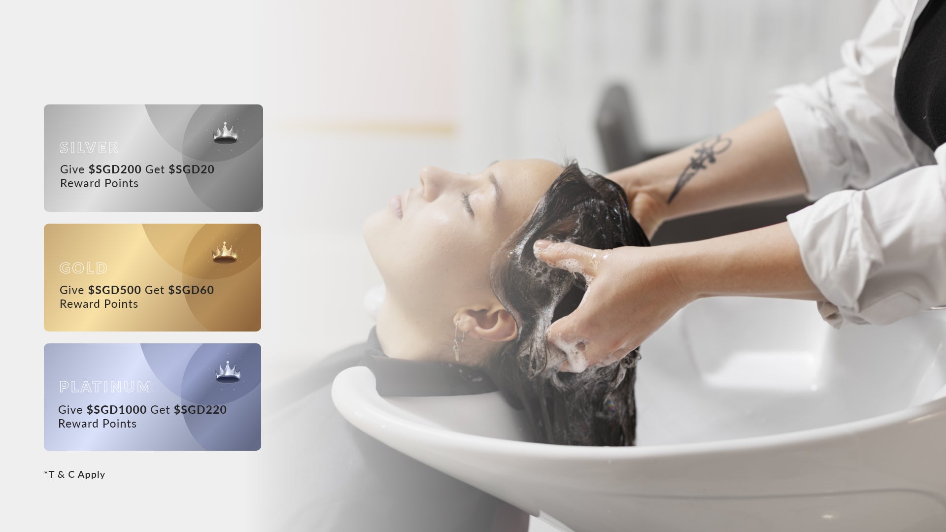 Collection page banner